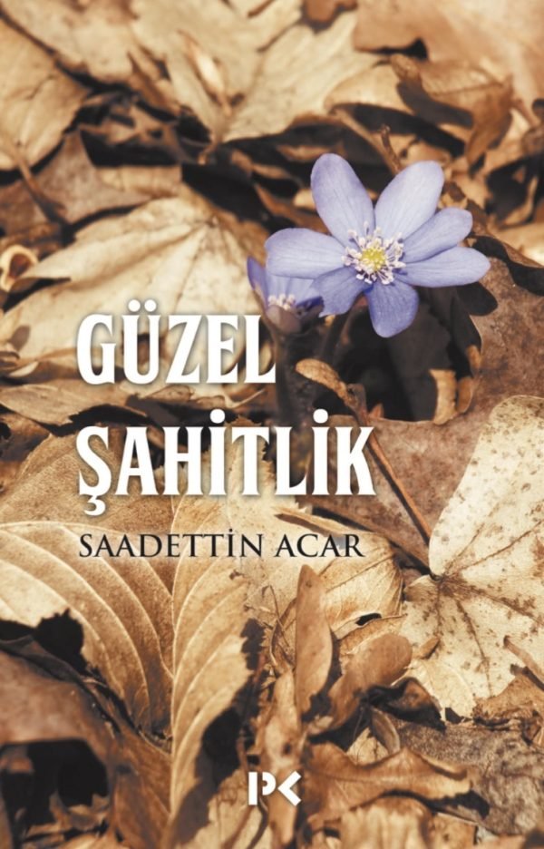 Güzel Şahitlik - Saadettin Acar